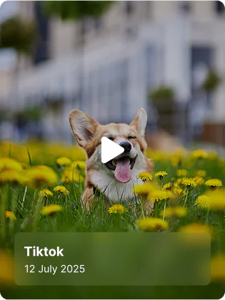 Placeholder imagen (1)